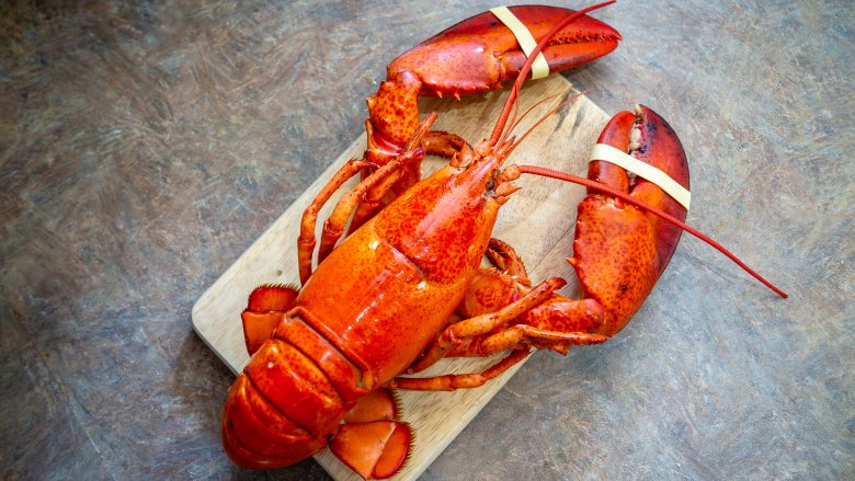 Why Does Lobster Have To Be Cooked Alive? - Mashed
