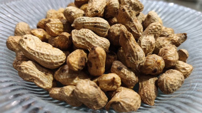 peanuts with shell in bowl