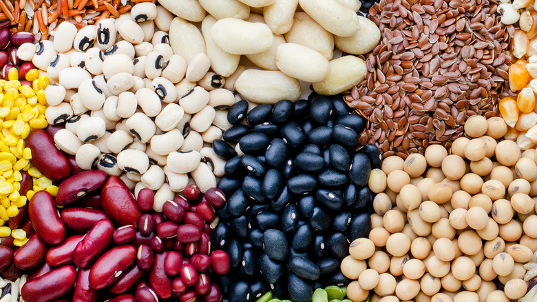 variety of beans