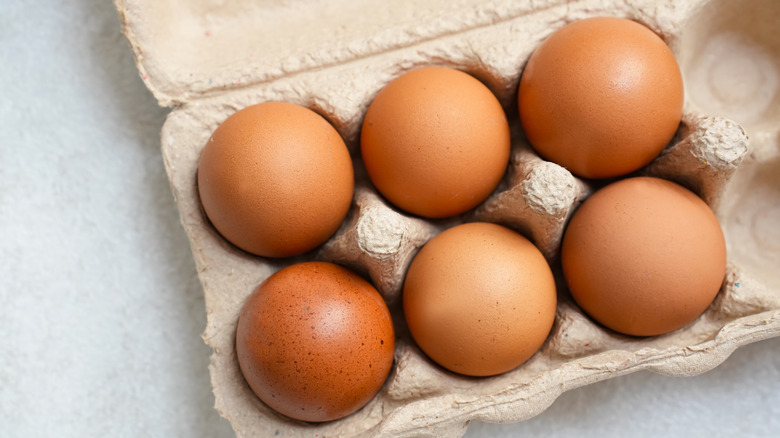 Cardboard carton of brown eggs on white background