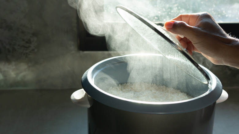 rice cooker with rice