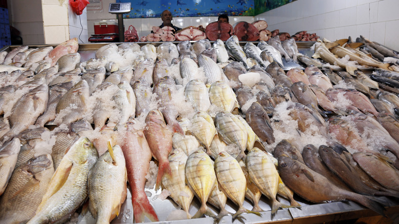 different fish varieties being sold at a fish market