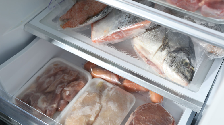 different fish varieties being stored in the freezer