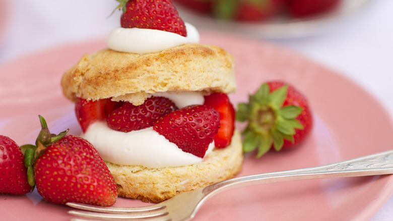 strawberry shortcake on a pink plate