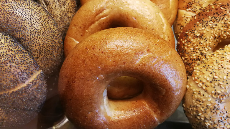 Plain and poppyseed bagels