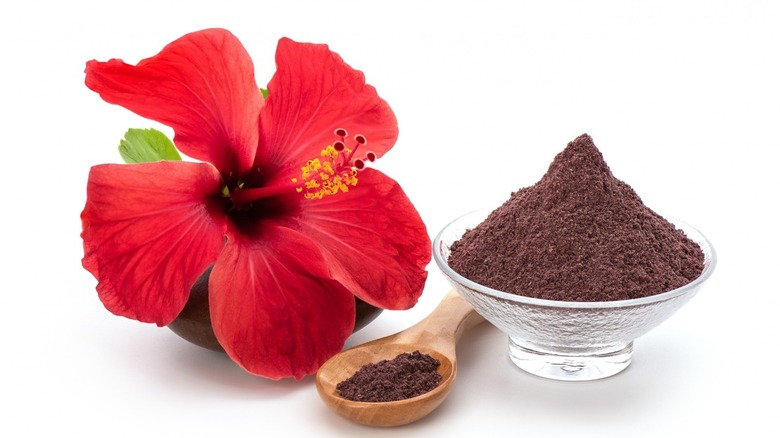 Hibiscus flower and powdered hibiscus