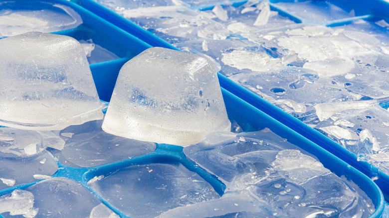 Why Your Ice Cubes Keep Shattering In The Tray (And How To Stop It)