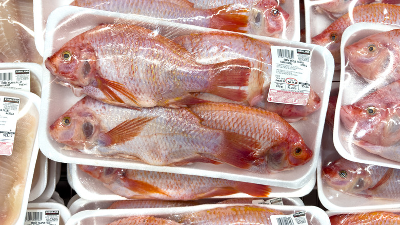 Packaged tilapia in Costco warehouse refrigerated section