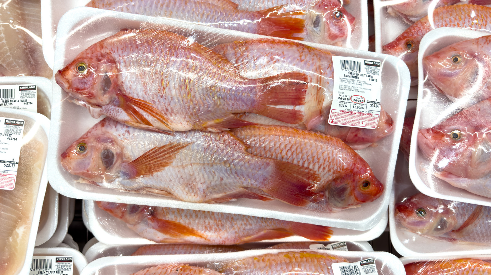 Why Is Costco Fish Returned So Often?
