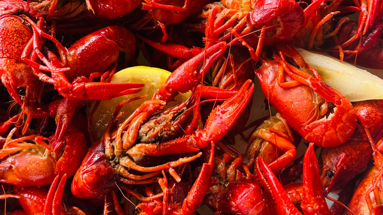 Louisiana-style crawfish boil