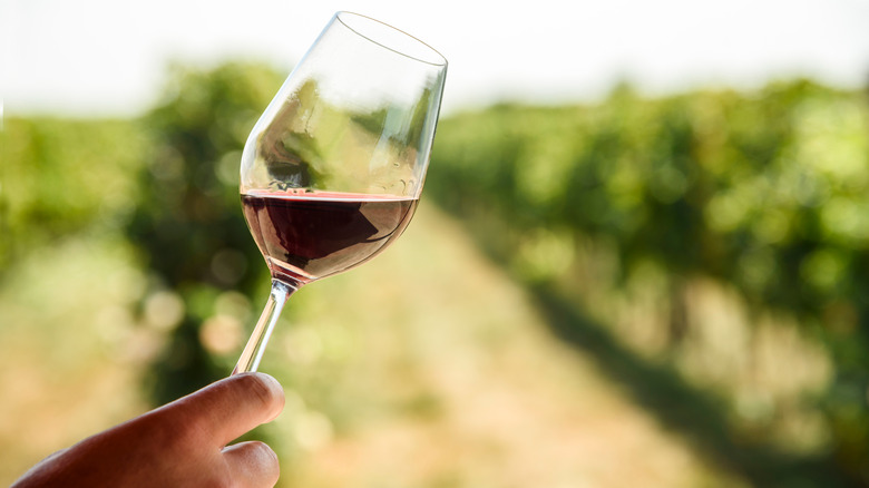 glass of red wine at vineyard