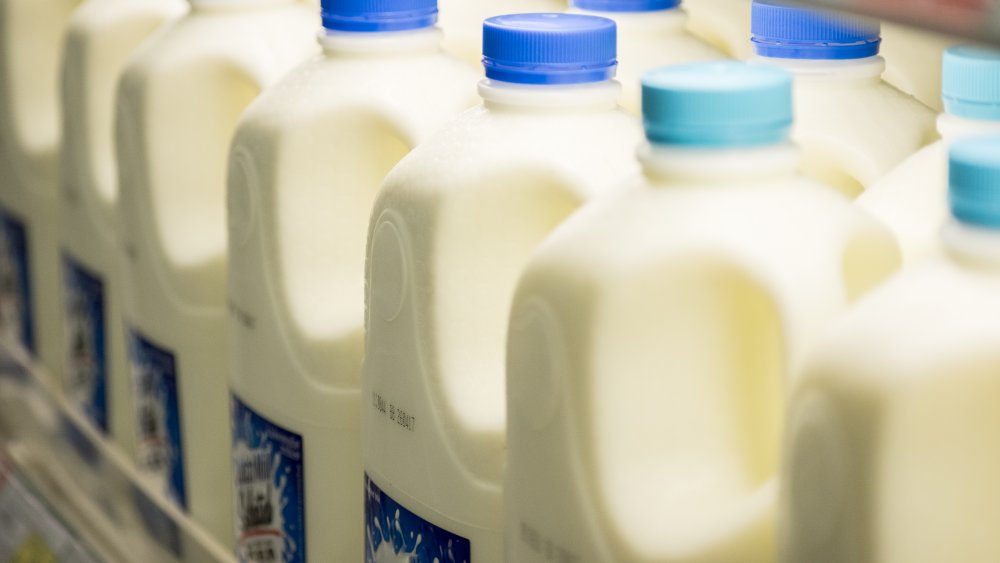 Row of milk in the refrigerator