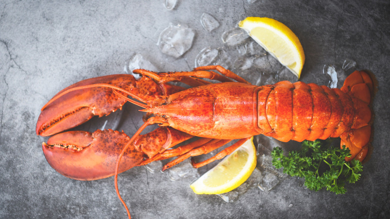 Lobster served whole with lemon