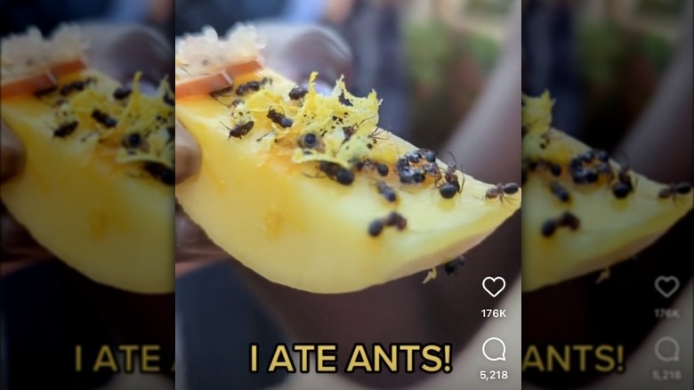 Screenshot on an Instagram video