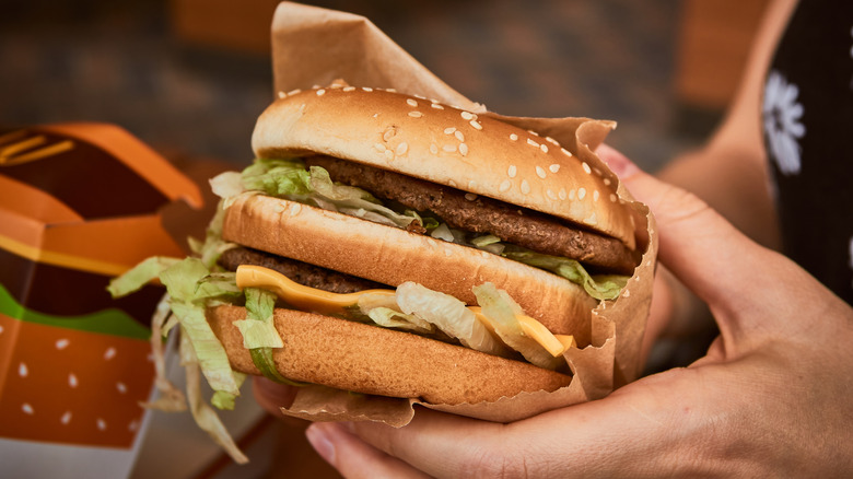 Hands holding a McDonald's Big Mac.
