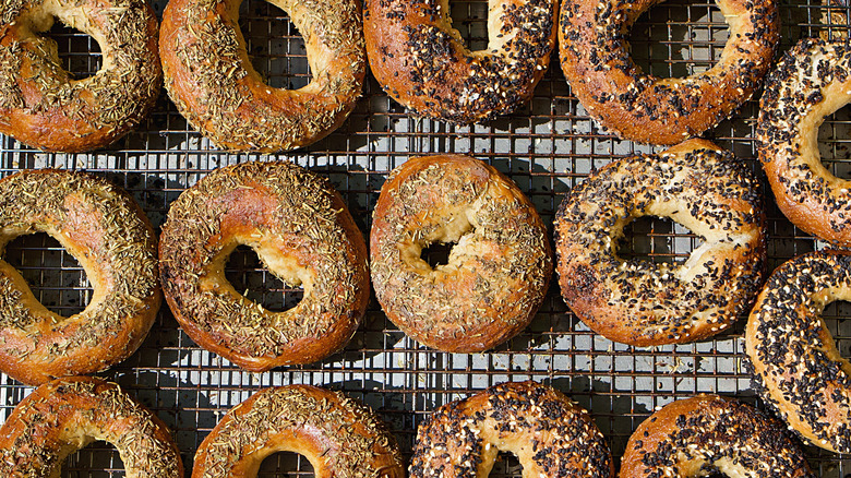 Montreal bagels