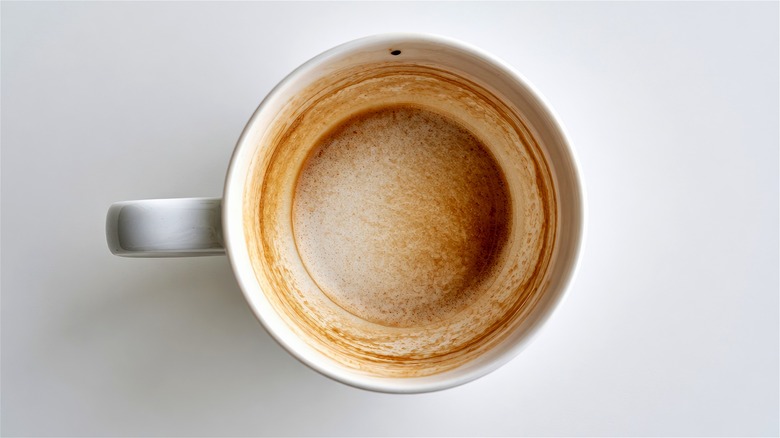 The inside of an unwashed, coffee-stained mug.