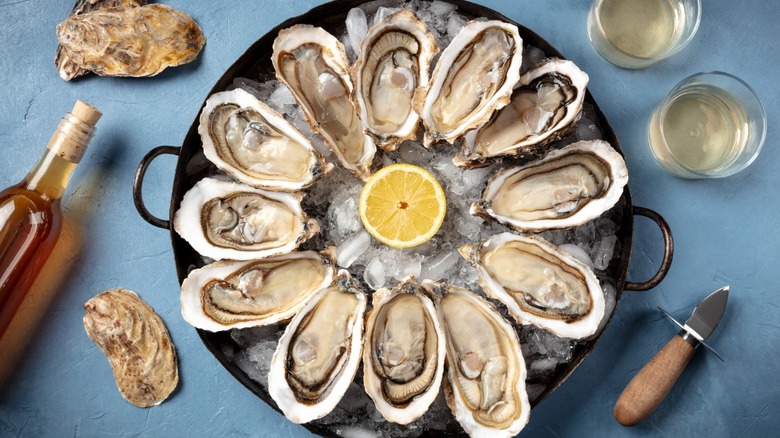 Top down view of oysters on the half shell