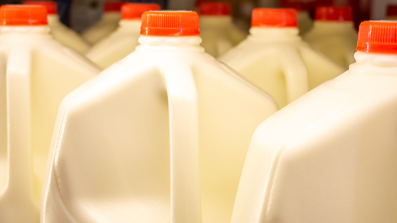gallon jugs of milk