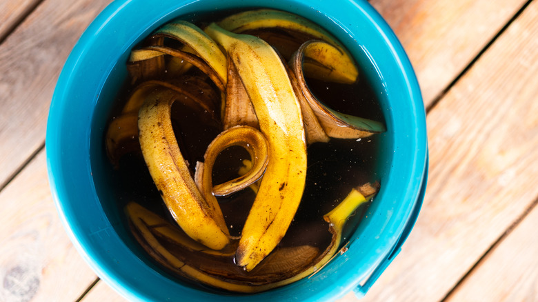 Banana peels soaking in water