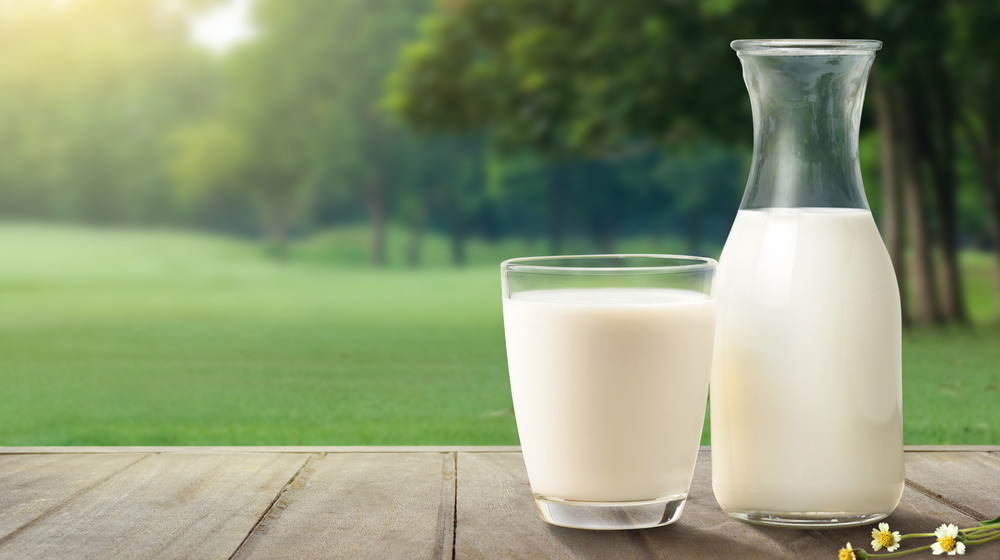 Milk jug in front of trees