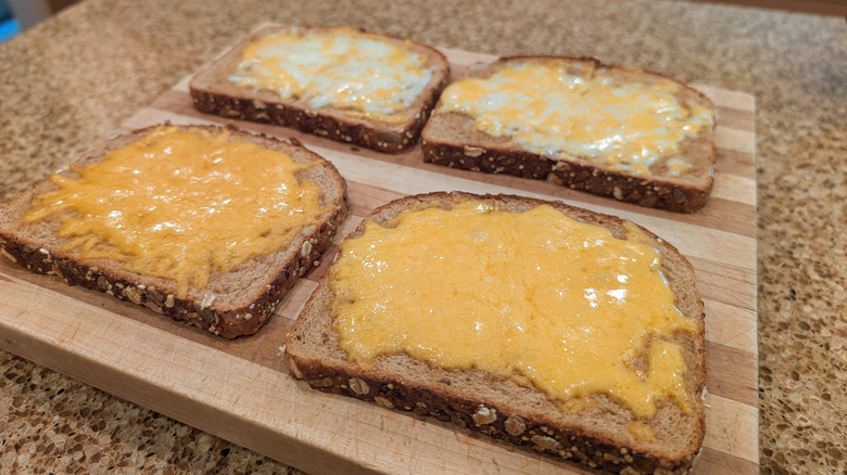 Four slices of toast with various shredded cheeses melted on top of them