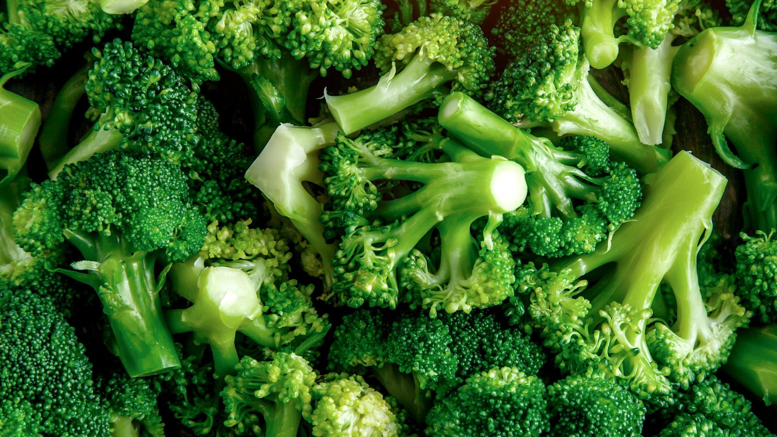 Is Burnt Broccoli Bad For You Reddit