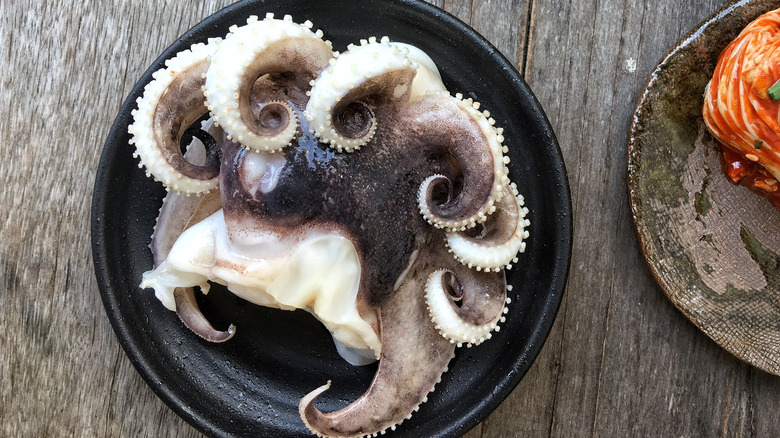 Octopus served on plate