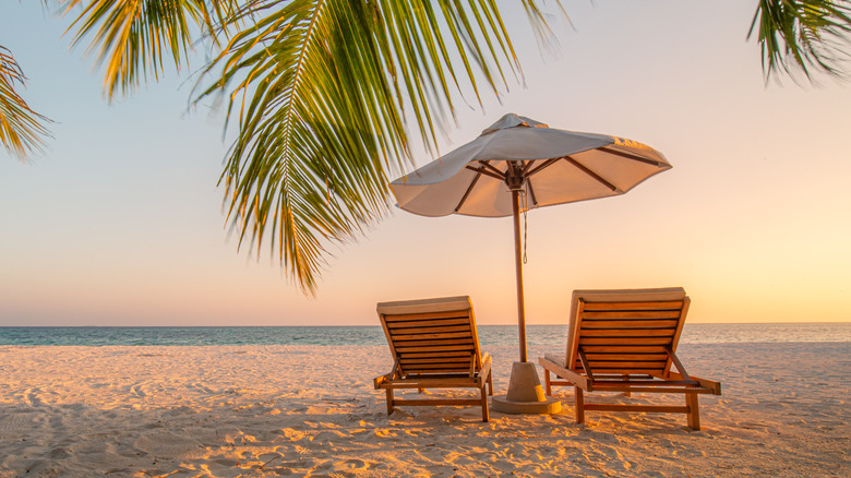 Lawn chairs on sunset beach