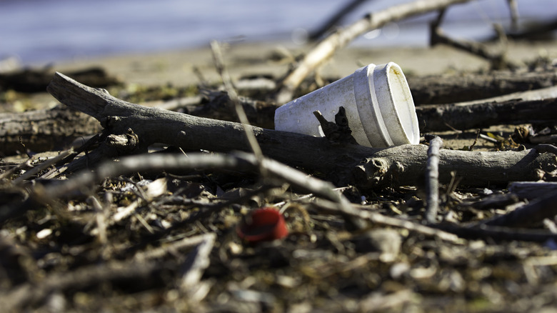 Styrofoam cup littering a beach
