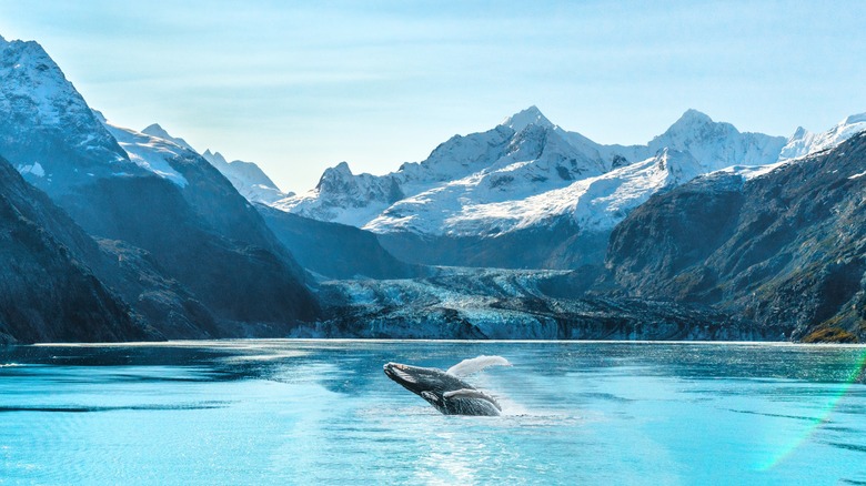 beautiful alaska