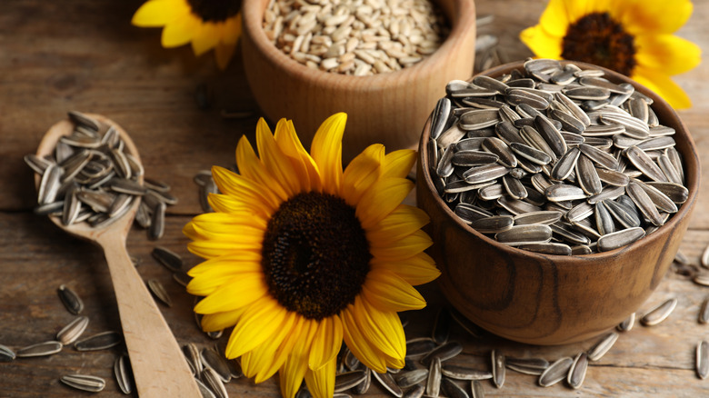 Sunflower seeds and yellow sunflowers