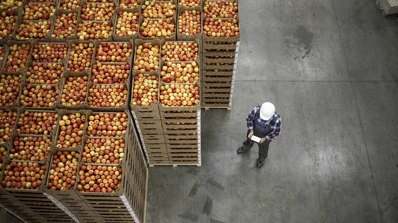 Crates of apples in a warehouse