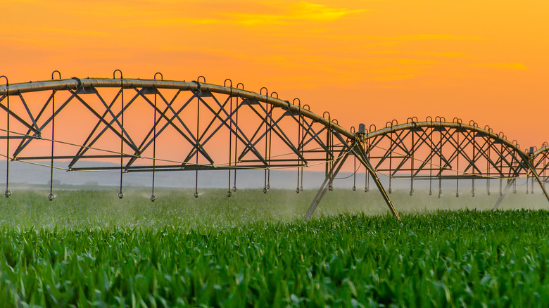 U.S. Farm with water irrigation