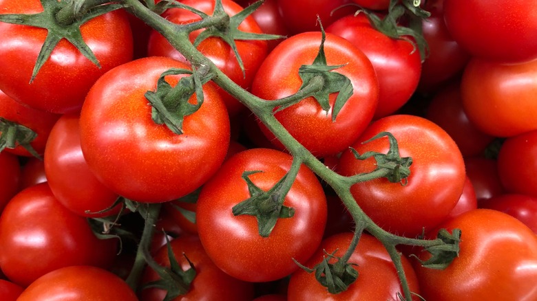 Tomatoes on the vine