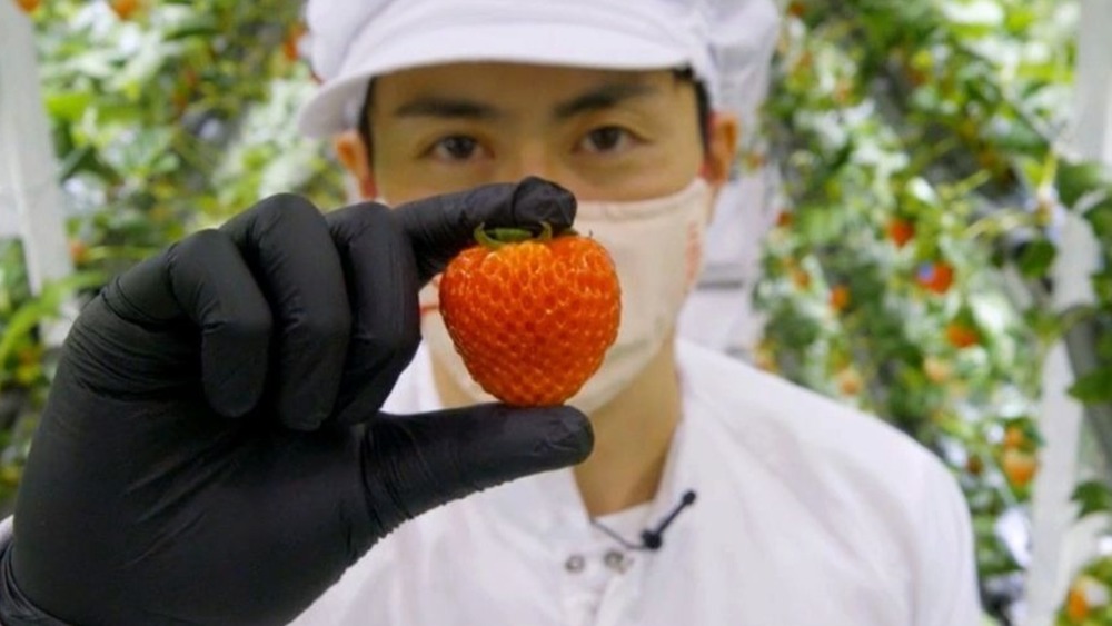 A man holding a strawberry