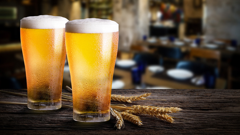 Beer and barley on a wood counter