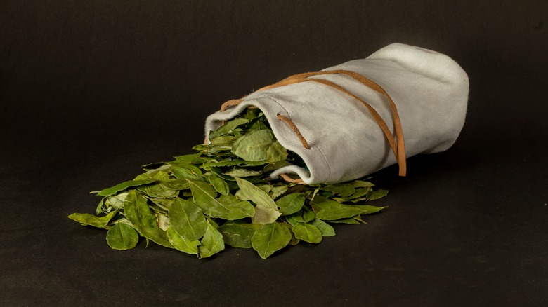 Coca leaves