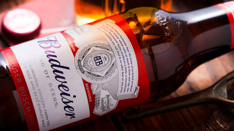 Glass bottle of Budweiser beer with white and red label.