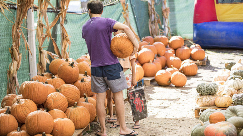 People buying pumpkins