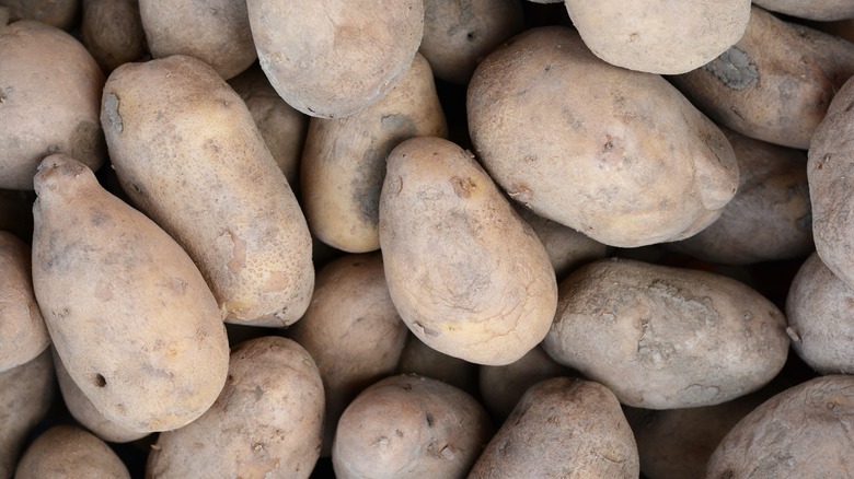 Potatoes in a pile