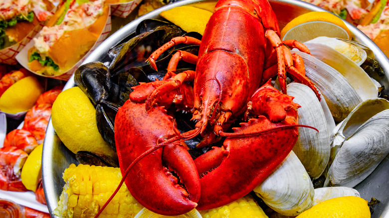 Lobsters, lobster rolls, clams, mussels, and corn