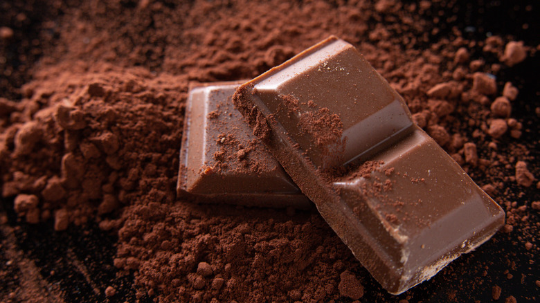 Bars of chocolate atop chocolate powder
