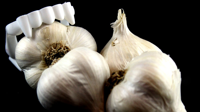 Garlic bulbs with plastic vampire fangs
