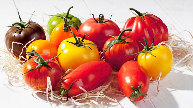 tomatoes in different varieties