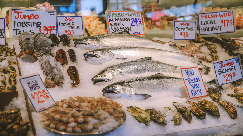 Various types of fish available at fish market