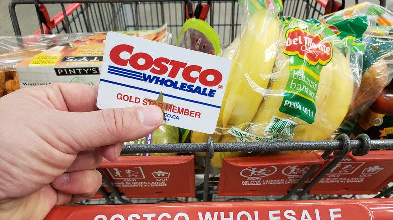white Costco membership card