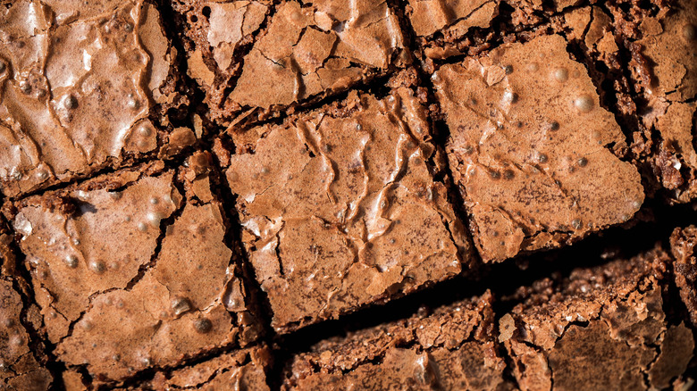 A close up of baked brownies