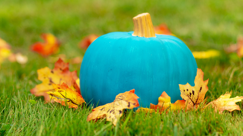 Teal pumpkin sitting amongst grass and leaves