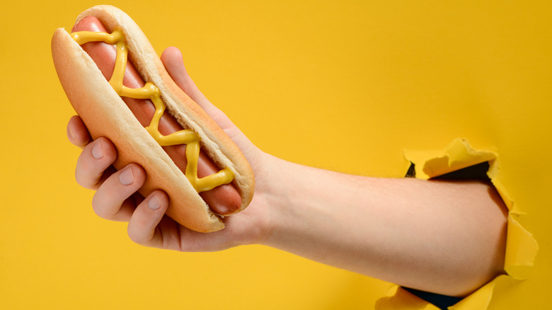 Hand holding a hot dog 